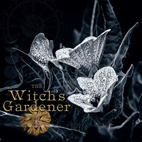 The Witch's Moon Garden: Harnessing Lunar Energy in Horticulture